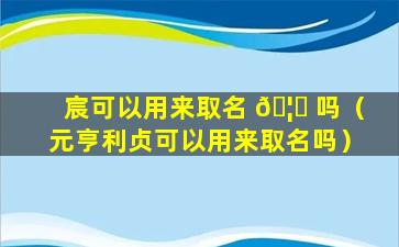 宸可以用来取名 🦉 吗（元亨利贞可以用来取名吗）